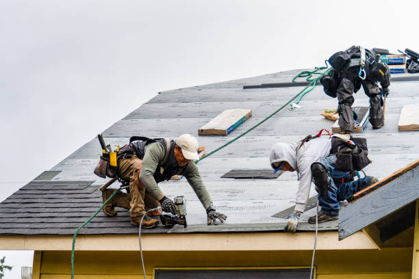 Professional Roof Replacement technician working in Slaughters, KY